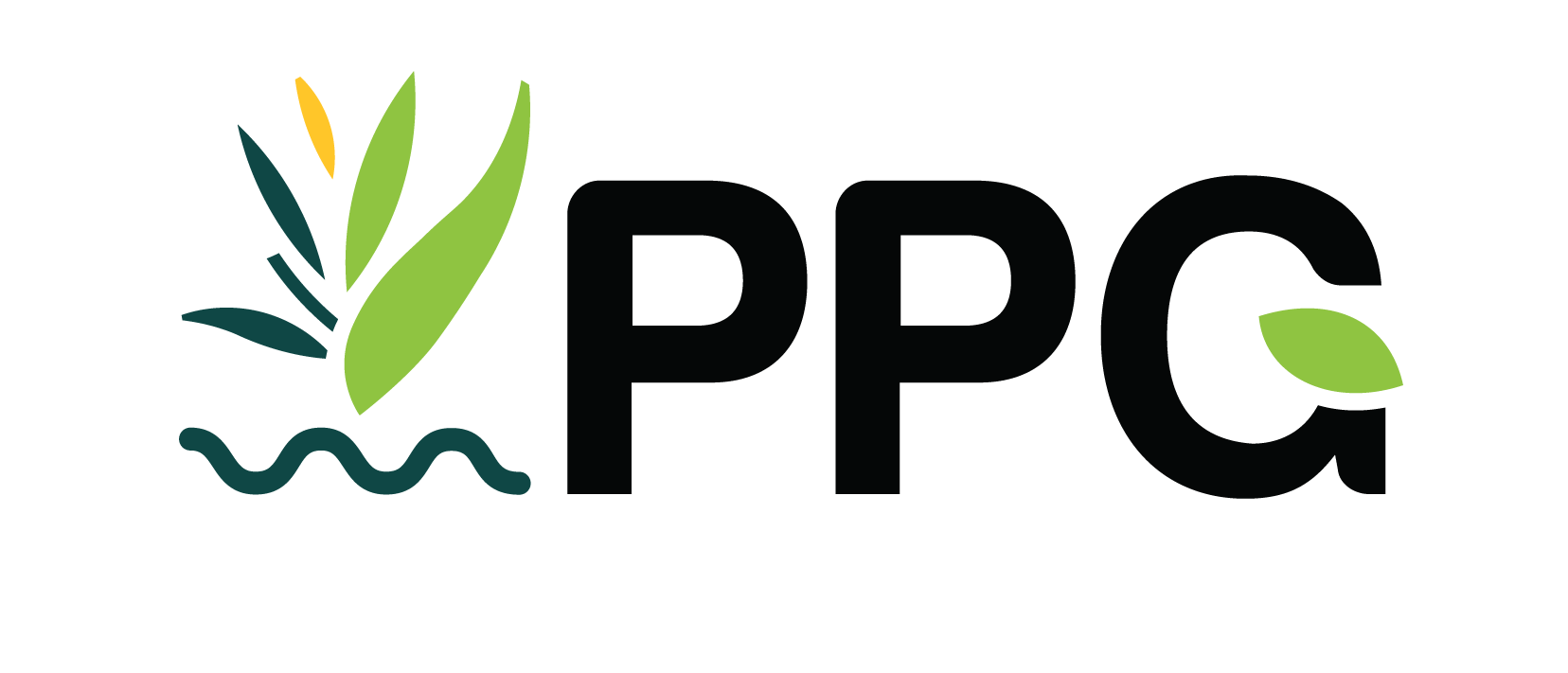 PPG Parent Logo-Colour