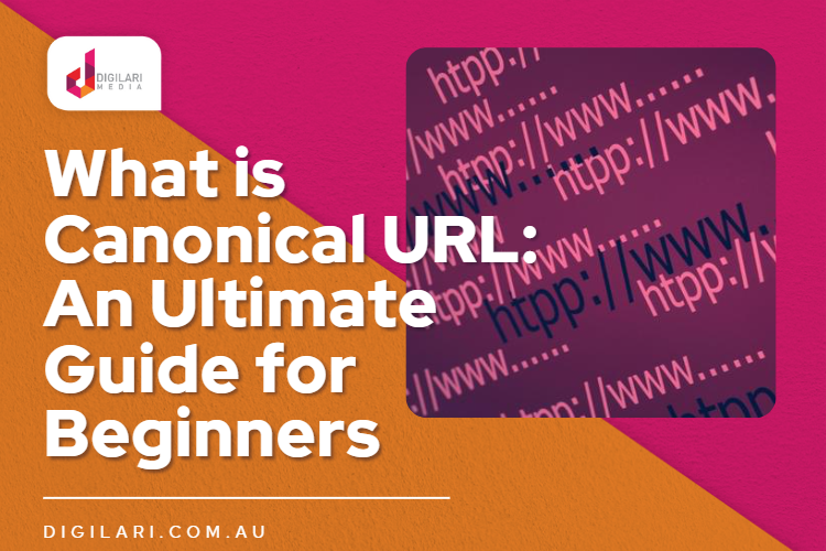 Cover image of an article talking about canonical URLs and tags